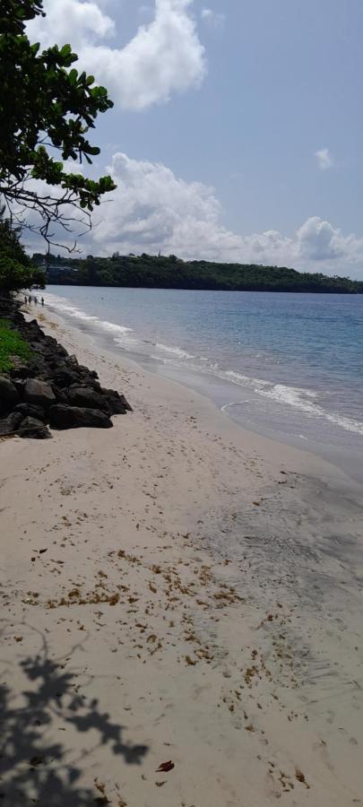 Bel Appartement Face A La Plage Au Diamant لو ديامانت المظهر الخارجي الصورة